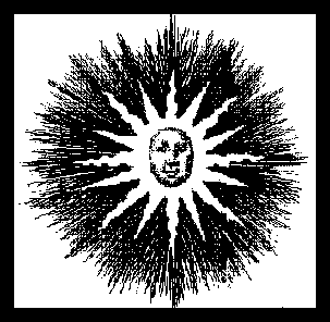 sun-pos303x296.gif (303x296, 6Kb)