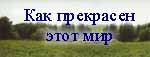 pis[1].jpg (150x57, 8Kb)