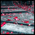 2764296.gif (120x120, 19Kb)