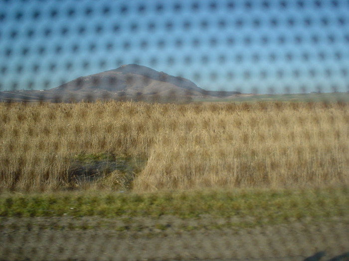 DSC02082.JPG (700x525, 75Kb)