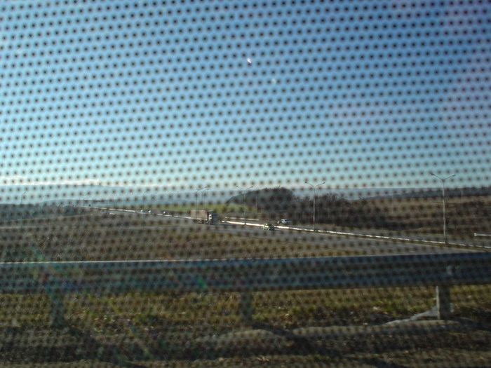 DSC02083.JPG (700x525, 101Kb)