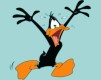 DAFFY.JPG (101x80, 2Kb)