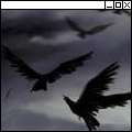 2452673.gif (120x120, 11Kb)