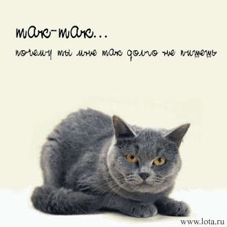 912655_3622221.gif (330x330, 33Kb)