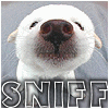 hwz4o4_th.gif (100x100, 9Kb)