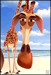 3261669_3106382_melman2.gif (103x150, 53Kb)