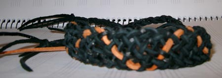 IMGP1894.JPG (450x158, 52Kb)