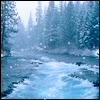 .gif (100x100, 29Kb)
