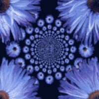 382.jpg (200x200, 12Kb)
