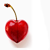 heart-25-.gif (100x100, 4Kb)