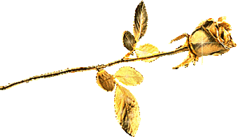 4309008_5464565.gif (340x196, 36Kb)