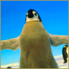 9860.gif (100x100, 6Kb)