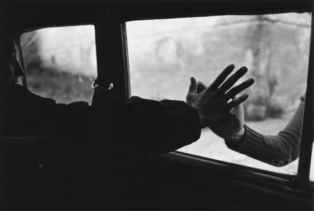 .jpg (450x303, 24Kb)