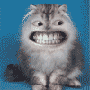 pers.gif (100x100, 12Kb)