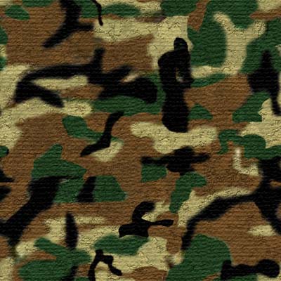 3911880_Camoflage.jpg (400x400, 53Kb)