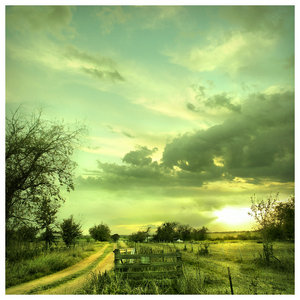 5048444_After_Rain_by_er0k.jpg (300x300, 26Kb)