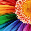 z8983104.jpg (100x100, 23Kb)