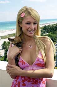 3077658_paris_hilton4_140271a[1].jpg (184x280, 31Kb)