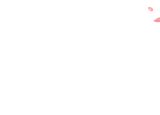 398887_Rozovye_lepestki_padayut.gif (312x224, 26Kb)