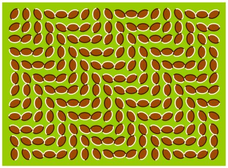 568-donwave.jpg (445x327, 53Kb)