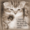 iconanimals4.gif (100x100, 11Kb)