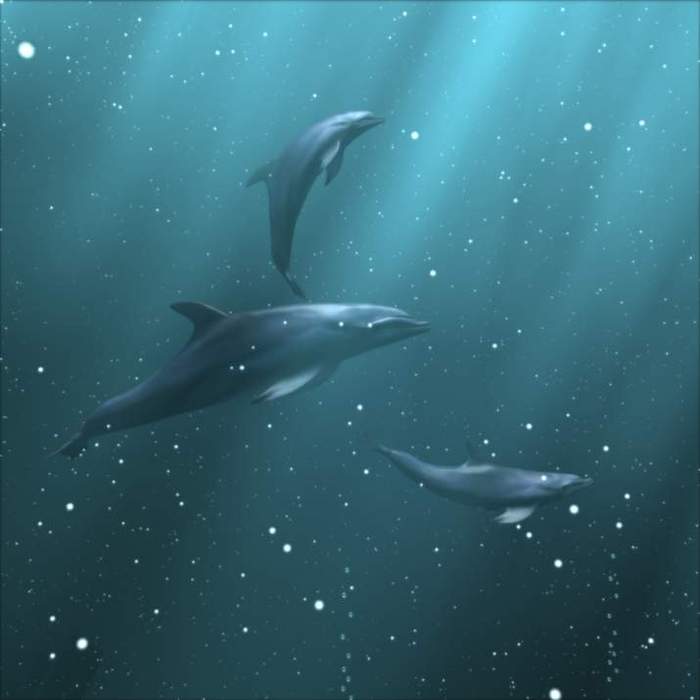 12.JPG (700x700, 23Kb)