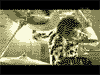 mucc_2nd_6_copy2.gif (100x75, 26Kb)