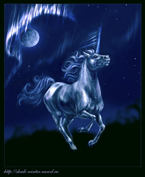 5049381_northern_light2.jpg (572x699, 96Kb)