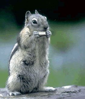 www_FuFlo_ru_2005102812565341.gif (280x327, 156Kb)