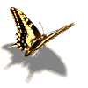 avatar11_1.gif (100x100, 13Kb)