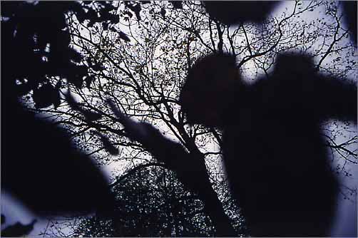 27.jpg (502x334, 45Kb)