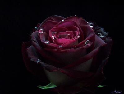 5002229_3347422.jpg (399x301, 8Kb)