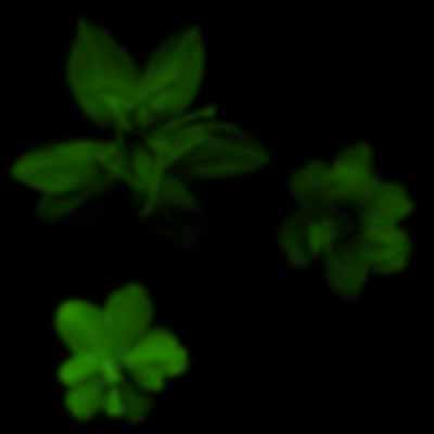 green13.jpg (400x400, 4Kb)
