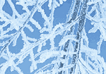 pic5229s.gif (150x105, 6Kb)