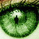 album_0805023336_1764.jpg (80x80, 5Kb)