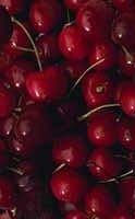 cherry.jpg (124x200, 16Kb)