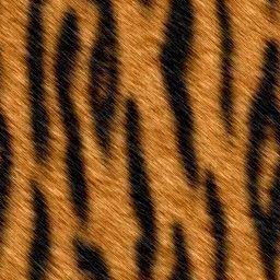 tkan21.jpg (256x256, 41Kb)