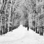 4301037_700680_7575_2.jpg (150x148, 24Kb)