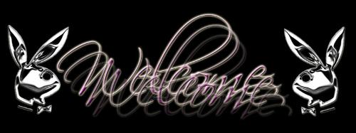 i26645197_82207_2.jpg (500x187, 17Kb)