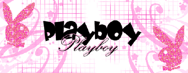 i28144211_48475_2.gif (384x150, 27Kb)