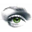 eyes3.jpg (110x110, 2Kb)