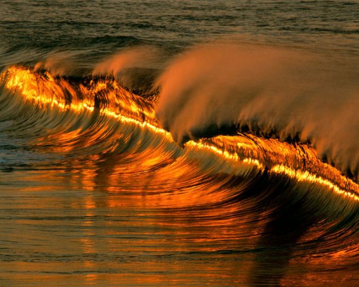 4322586_56[1].jpg (699x559, 74Kb)
