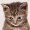 mnebezzztebbi.jpg (100x100, 11Kb)