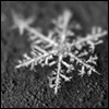 avikmy32.gif (100x100, 17Kb)