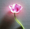 5.gif (100x99, 14Kb)