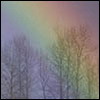654904_145655.jpg (100x100, 3Kb)