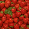 .gif (120x120, 14Kb)