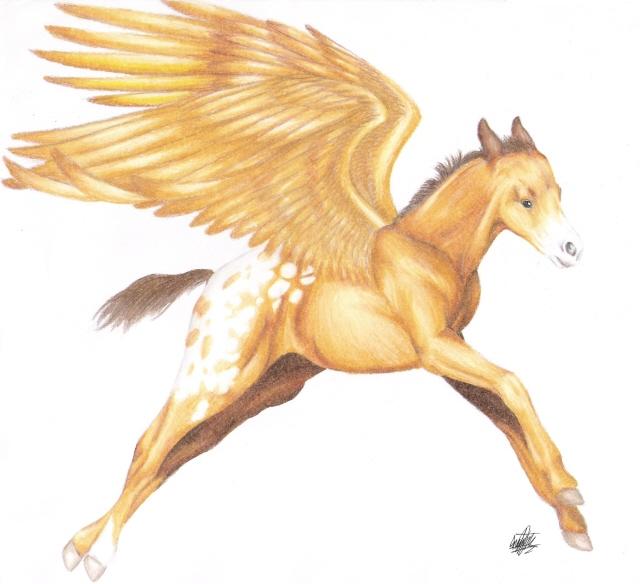 324103_young_pegasus.jpg (640x584, 34Kb)