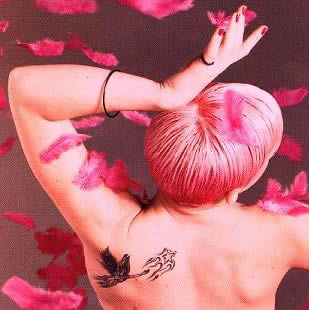 5023012_pink2[1].jpg (309x310, 22Kb)