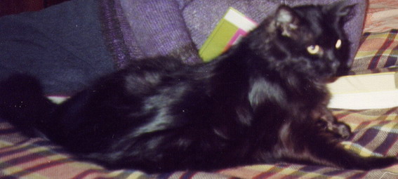 Tihon1.jpg (567x255, 38Kb)